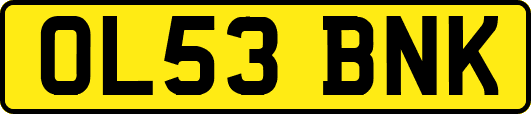OL53BNK