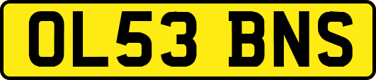 OL53BNS