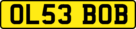OL53BOB