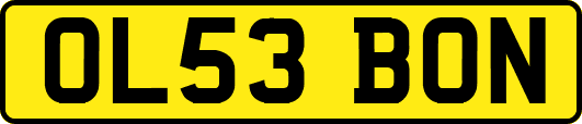 OL53BON