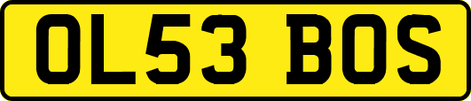 OL53BOS