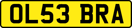 OL53BRA