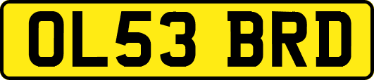 OL53BRD