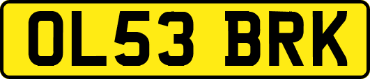 OL53BRK