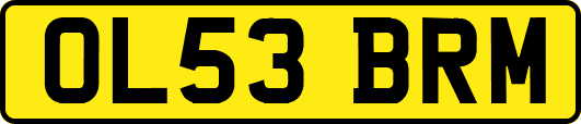 OL53BRM
