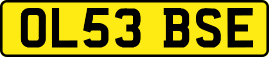 OL53BSE