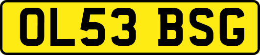 OL53BSG
