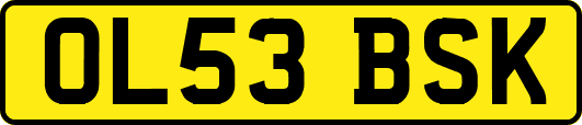 OL53BSK