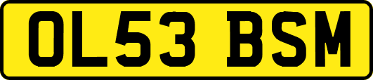 OL53BSM
