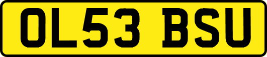 OL53BSU