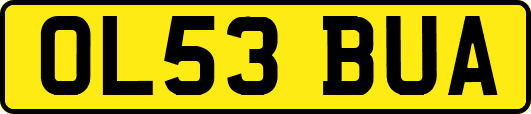 OL53BUA