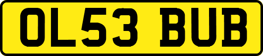 OL53BUB