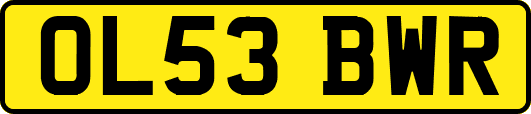 OL53BWR