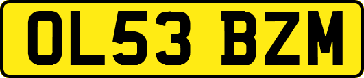 OL53BZM