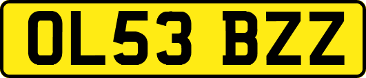 OL53BZZ