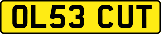 OL53CUT