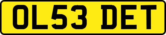 OL53DET