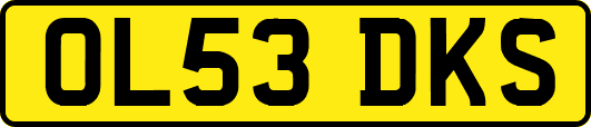 OL53DKS