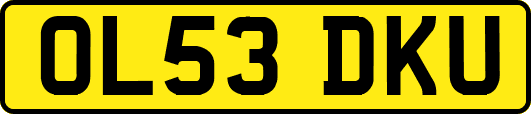 OL53DKU