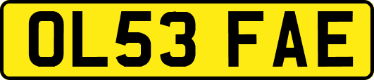 OL53FAE