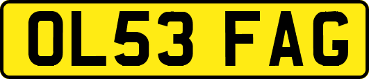 OL53FAG