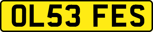 OL53FES