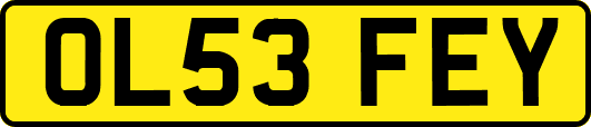 OL53FEY