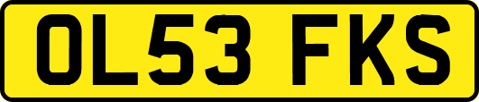 OL53FKS