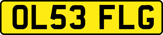 OL53FLG