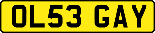 OL53GAY