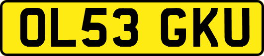 OL53GKU