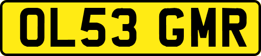 OL53GMR