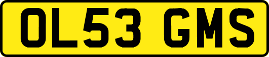 OL53GMS
