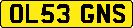 OL53GNS
