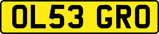 OL53GRO
