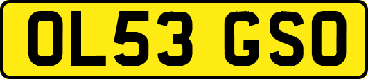 OL53GSO