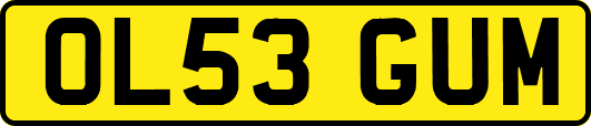 OL53GUM