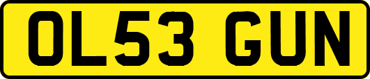 OL53GUN