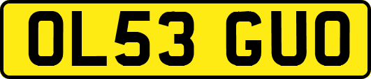 OL53GUO
