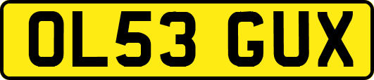 OL53GUX