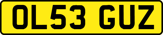 OL53GUZ