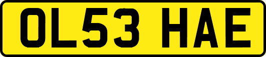 OL53HAE