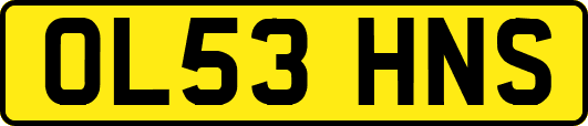 OL53HNS