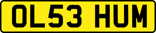 OL53HUM