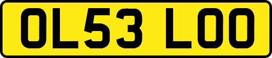 OL53LOO