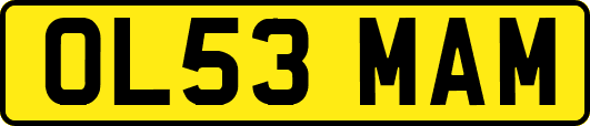 OL53MAM