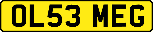 OL53MEG