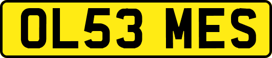 OL53MES