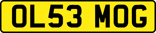 OL53MOG