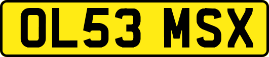 OL53MSX